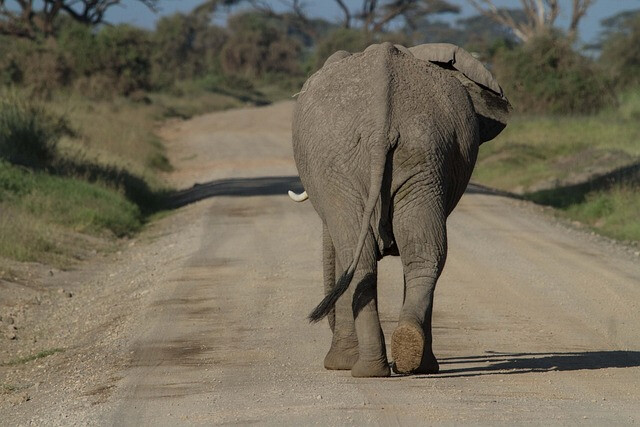 Serengeti National Park