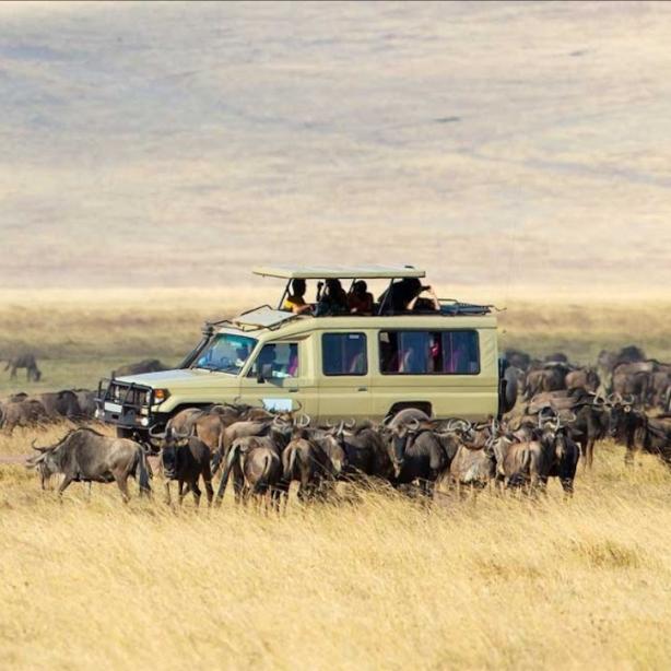 Safari in Tanzania