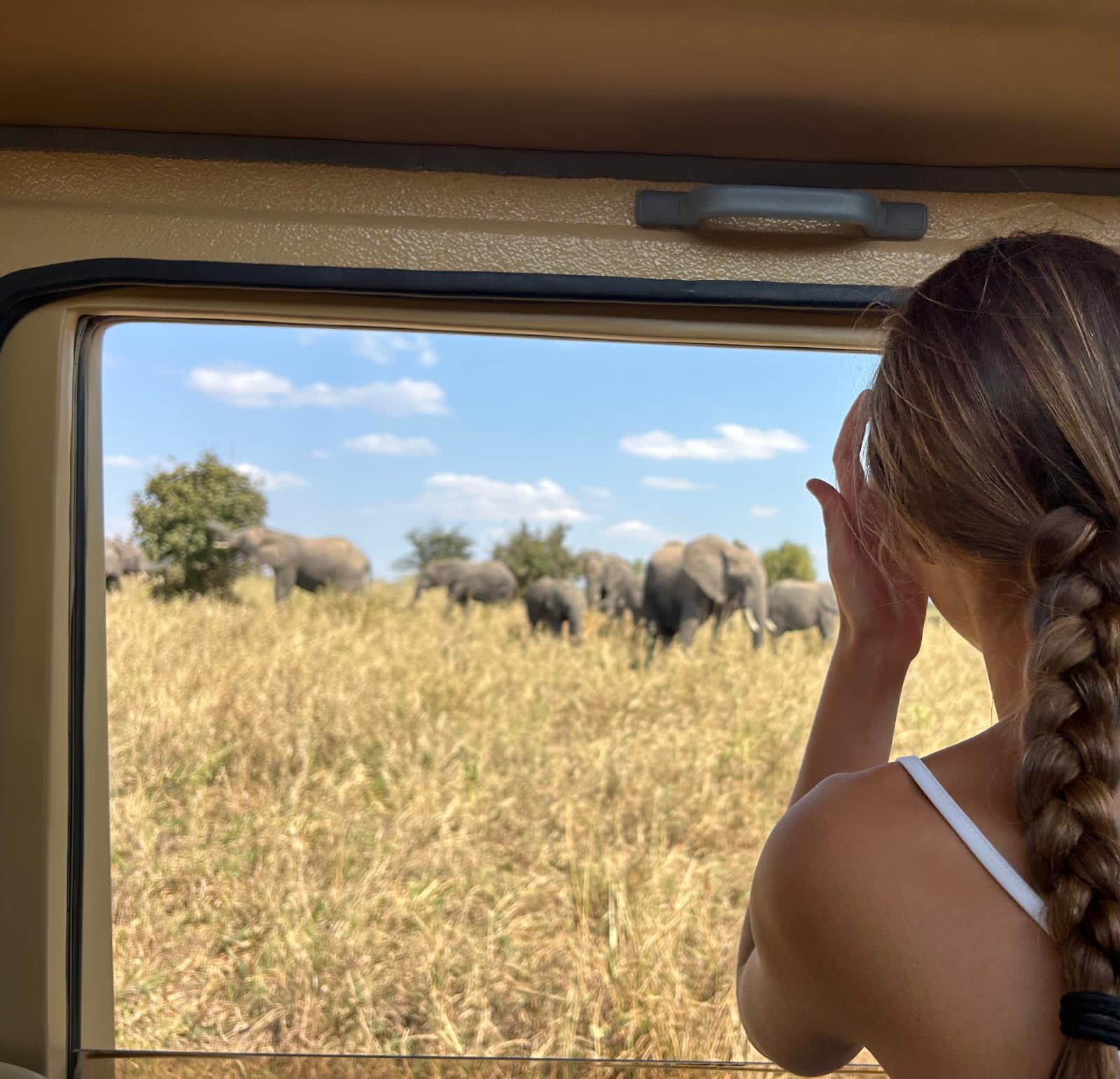 Luxury Safari Manyara, Serengeti & Ngorongoro